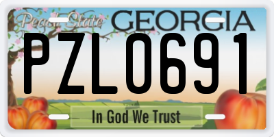 GA license plate PZL0691