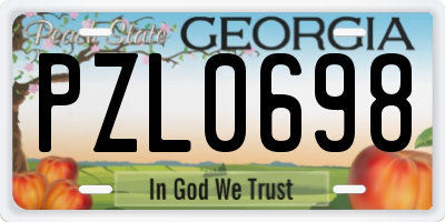 GA license plate PZL0698