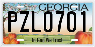 GA license plate PZL0701
