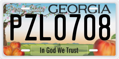 GA license plate PZL0708