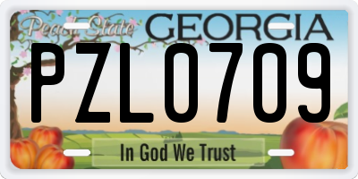 GA license plate PZL0709