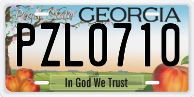 GA license plate PZL0710