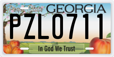 GA license plate PZL0711