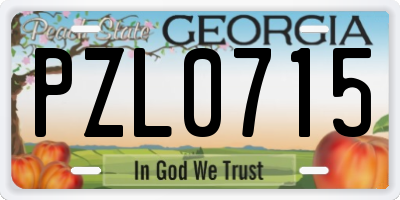 GA license plate PZL0715