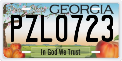 GA license plate PZL0723