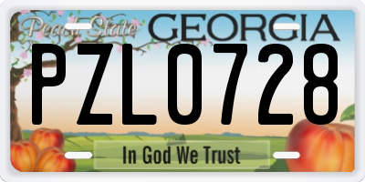 GA license plate PZL0728
