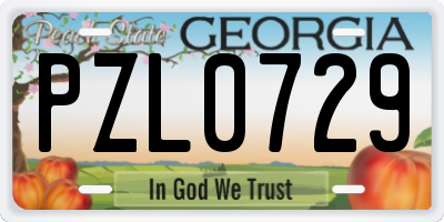 GA license plate PZL0729