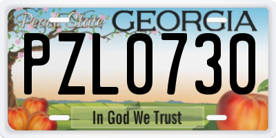 GA license plate PZL0730