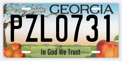 GA license plate PZL0731