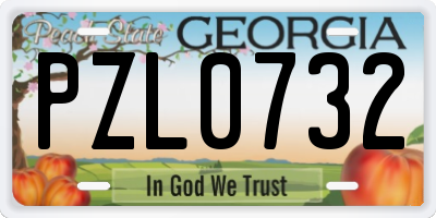 GA license plate PZL0732