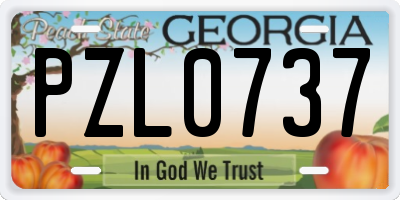 GA license plate PZL0737