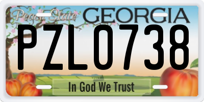 GA license plate PZL0738
