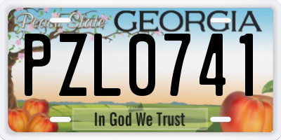 GA license plate PZL0741