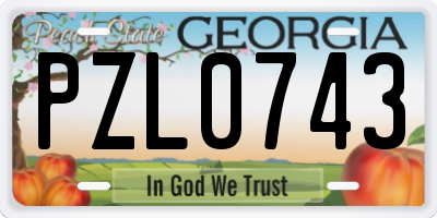 GA license plate PZL0743