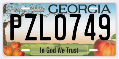 GA license plate PZL0749