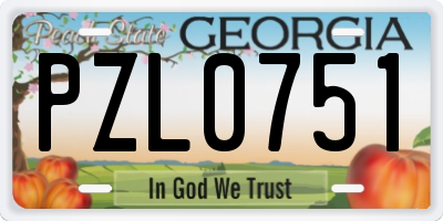 GA license plate PZL0751