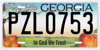 GA license plate PZL0753