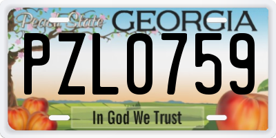 GA license plate PZL0759