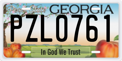 GA license plate PZL0761