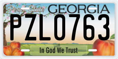 GA license plate PZL0763