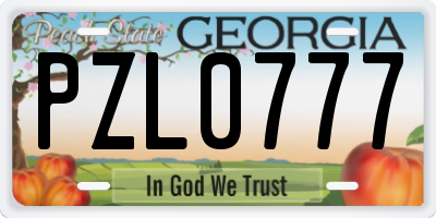 GA license plate PZL0777