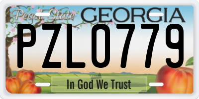GA license plate PZL0779