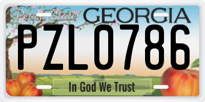 GA license plate PZL0786