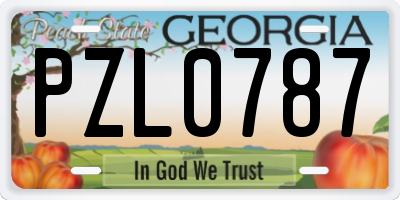 GA license plate PZL0787