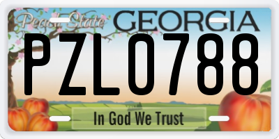 GA license plate PZL0788