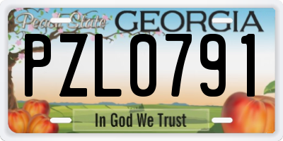 GA license plate PZL0791