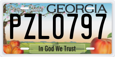 GA license plate PZL0797