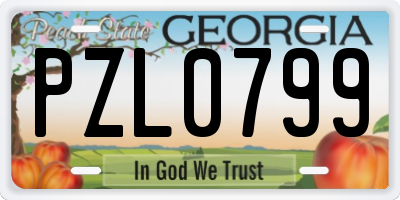 GA license plate PZL0799