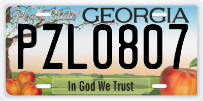GA license plate PZL0807