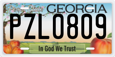 GA license plate PZL0809