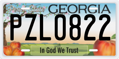 GA license plate PZL0822