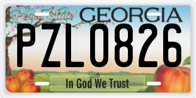 GA license plate PZL0826