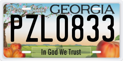 GA license plate PZL0833