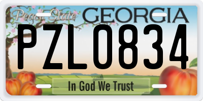 GA license plate PZL0834