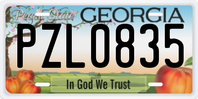 GA license plate PZL0835