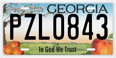 GA license plate PZL0843