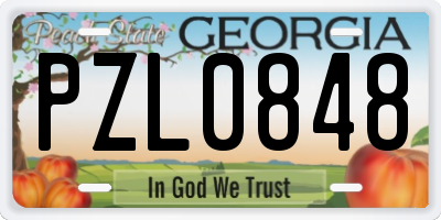 GA license plate PZL0848