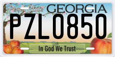 GA license plate PZL0850