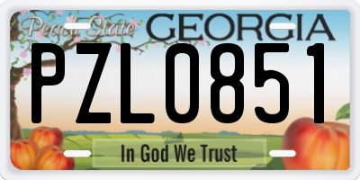 GA license plate PZL0851