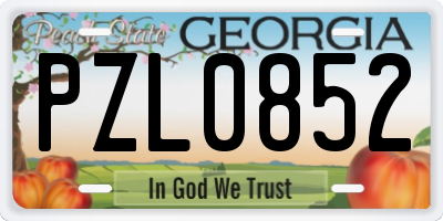 GA license plate PZL0852