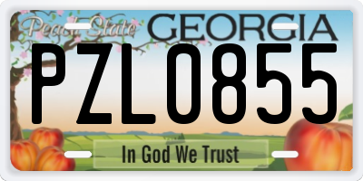 GA license plate PZL0855