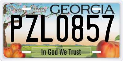 GA license plate PZL0857
