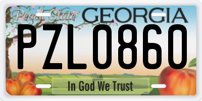 GA license plate PZL0860