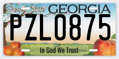GA license plate PZL0875