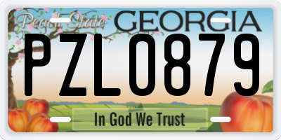 GA license plate PZL0879