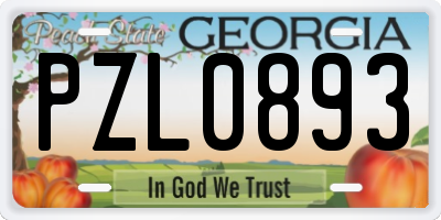 GA license plate PZL0893